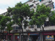 内环内双南电梯房,户型优质,配套成熟