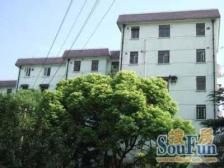 东樱花园1室南朝向265.00万元/套出售