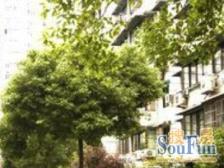 东外滩 · 万汇公寓 · 3室 · 1厅