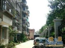 刚需好房,售后公房,大开间,近商圈