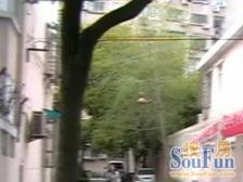 滨江板块热门小区,朝南小户型,电梯房,低总价楼层好