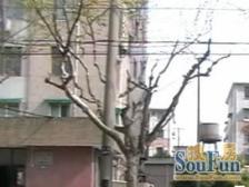 东外滩·杨家宅小区·2室·2厅