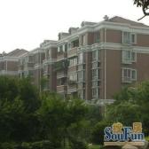 近地铁+商品洋房+苏州河畔+双南户型+三年前精装修