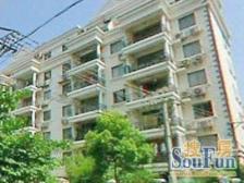 凉城·金鸿苑·3室·2厅