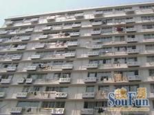 电梯双南两房, ,业主诚意出售,看房有钥匙