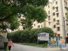 三新中校区边,精装修一楼带大花园三房