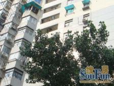 主卧朝南,交通便利,居家装修,诚意出售,房型正气