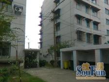 三门路485弄 3室2厅 南 北