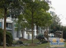 南北通透 商品房 高楼层视野好 商业配套齐全 交通便利