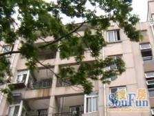 三林 精装 中Y空调 拎包入住 三房 有钥匙 看房方便