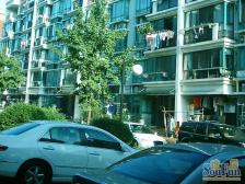 国贸花园3室2厅东西东北