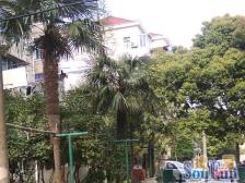 浦东世博·上南八村·1室·1厅