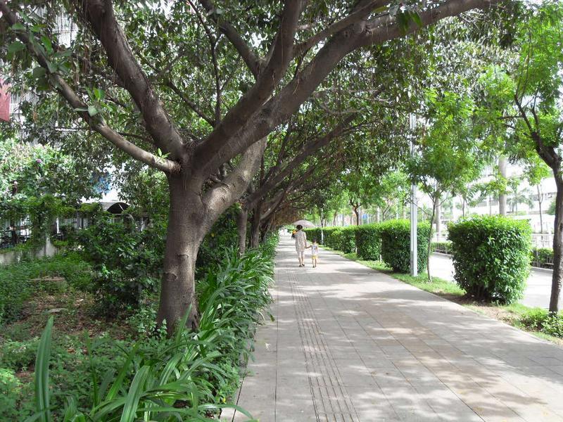 【广物花园商铺,店铺,门面,店面出租61出售61租赁价格信息】-深圳