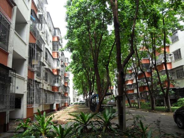 水湾b区小区租房,三室二厅,水湾区 三房出租 7500元,深圳南山蛇口租房