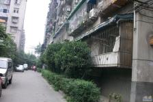 菊园1室1厅南