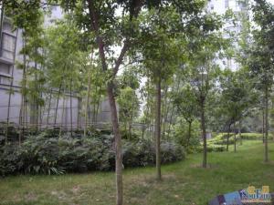 武城大观城市花园一期3室1厅东南