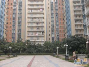 盘谷花园2室1厅北