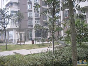西城星座3室1厅西南