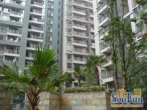 西城星座2室1厅东南