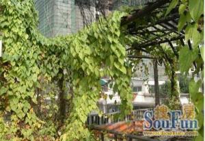 前锋小区2室1厅东南