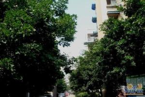 川大竹林村3室2厅东南南