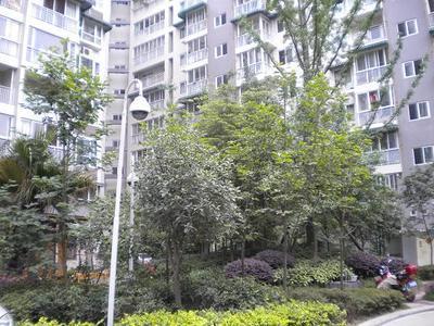 小区相关图