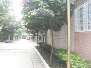 新禧苑3室1厅南