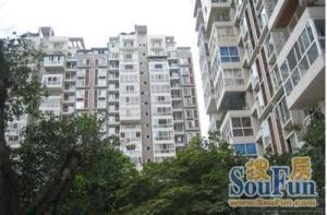 君悦领地3室1厅南