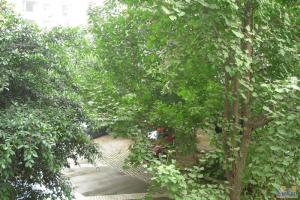 巴黎阳光2室2厅西北