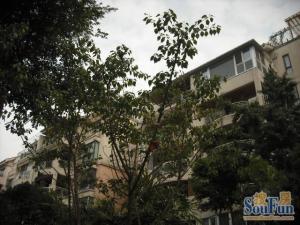 海会花园4室2厅西南
