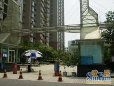 棕北国际 3室2厅 北