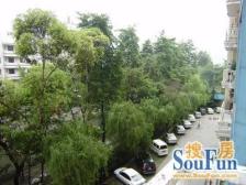 棕北国际 2室1厅 北