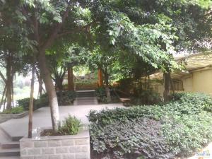 郦景东城 3室2厅 东南