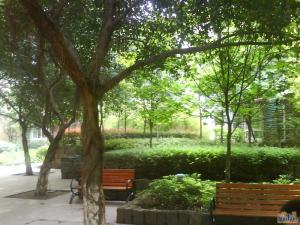 郦景东城 3室1厅 西南