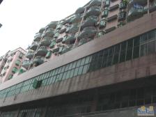 楼下大市场东南朝向,面朝大海,视野好