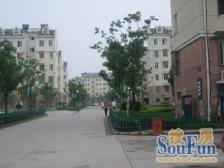 娄葑·金益二村·5室·2厅