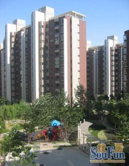 丽岛紫园 精装带暖气四房 保养好 满五年税费少 南北通透采光好