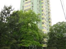 精装修拎包出行方便近轻轨采光好户型方正