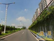 东安花园 使用率高 4房 保养不错 业主诚心出