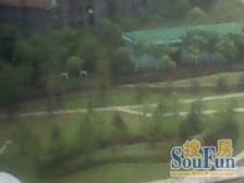 古北一期大两房,满5??,高楼层采,光刺眼