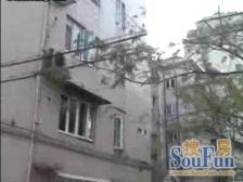 蒙自路440弄 1室0厅 北