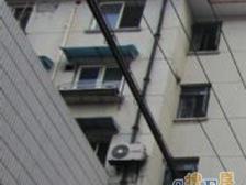 中原·民欣苑·2室·1厅