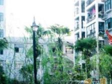 明珠花苑(浦东) 3室2厅 南 北