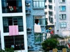 商品房,电梯高区,采光刺眼,坐拥前后滩