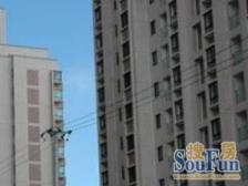 香港开发商,新上大三房,小高层,双轨地铁口,公园旁