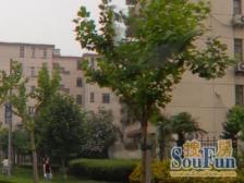 黄山小区,建平书包房,小面积低总价价格好谈