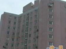 南泉公寓 3室2厅 南