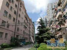 陆家嘴+明珠东昌南+南北通透大两房+世纪大道+业主诚售