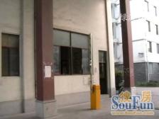 店长推荐泗泾古镇豪华装修新上三房拎包入住