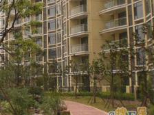 尚城汇景园 3室2厅 南